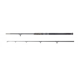 Black Catfish Heavy Duty rod 300cm (200-300g)