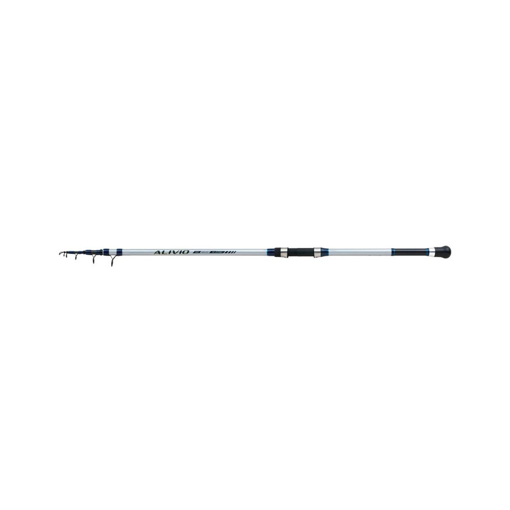 telescoping cane pole