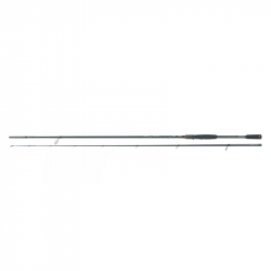 Spinning rod Diamond 2.90m (30-60gr)