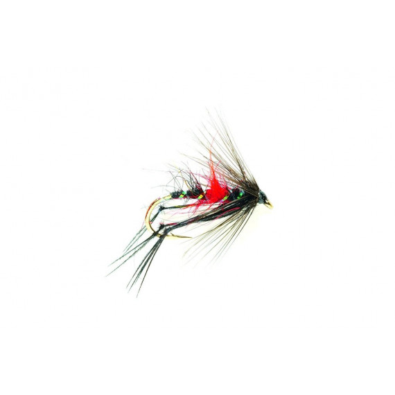 Ertrunkene Fliege Bristol Hopper Bibio 1