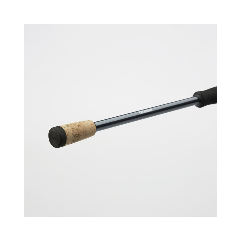 Azaki Spin Rod 9ft 20-60g 2sec