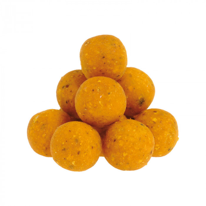 Bouillettes 20mm Carp Target 800g Royal Scopex 2