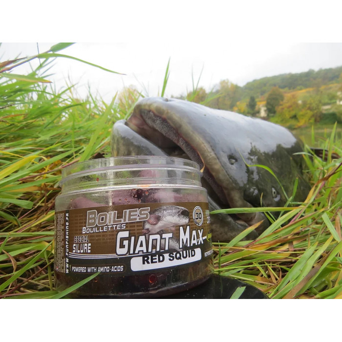 Giant Max Fun Fishing Pellets, durchbohrt 250gr 22mm Red Squid 2