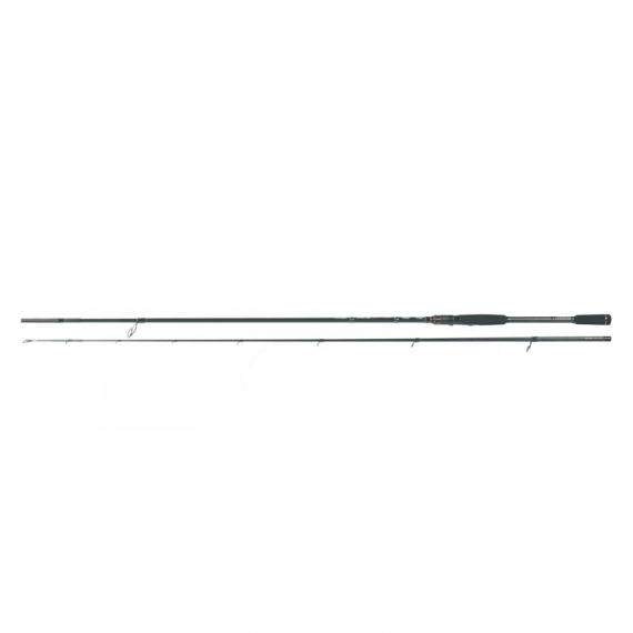 Filfishing canne diamond spin 2.90 m / 50-100 g 1