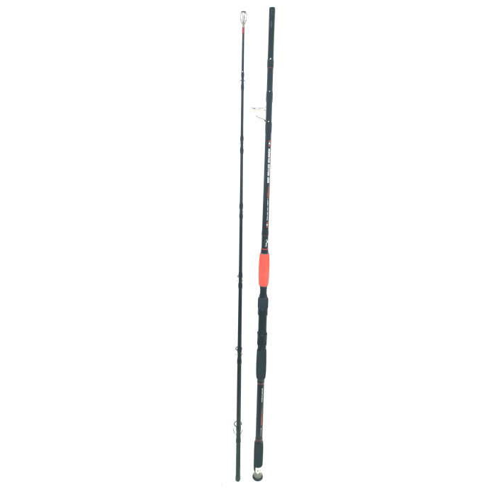 Filfishing canne monster catfifh 2.55m 1