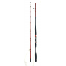 Filfishing canne thunder 240