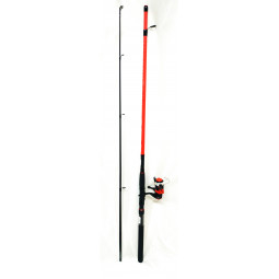 Mitchel ensemble catch pro spin 242 10-30gr