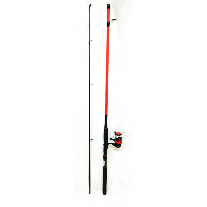 Mitchel ensemble catch pro spin 242 10-30gr 1