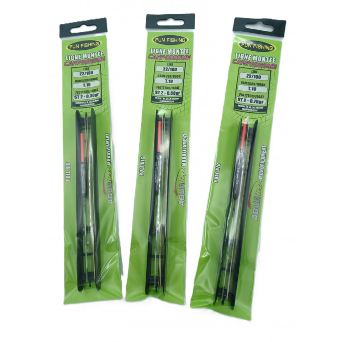 Ligne monté Fun fishing ST2 0.75gr t:10 22/100 4m 1