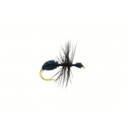 Ant black fly H:16